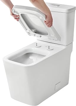 Eurocube Right Height Elongated Toilet Bowl With Seat