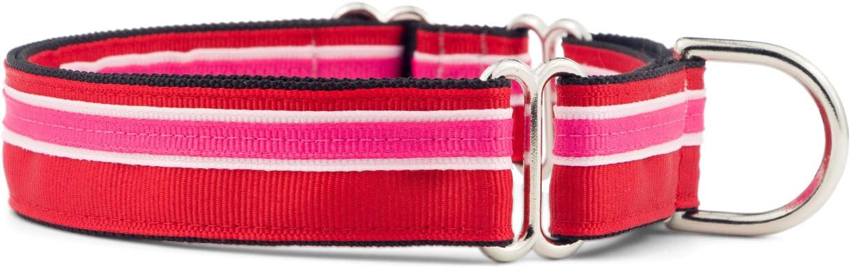 If It Barks 1" Martingale Collar for Dogs, Adjustable Nylon, USA Made, Small, Shortcake