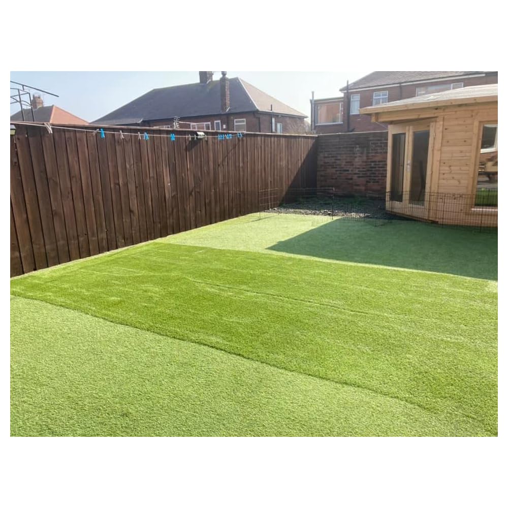 Buy Artificial Grass Maintenance Lawn Brush Sweeper 1600w with 10m Cable, Artificial Grass Rake