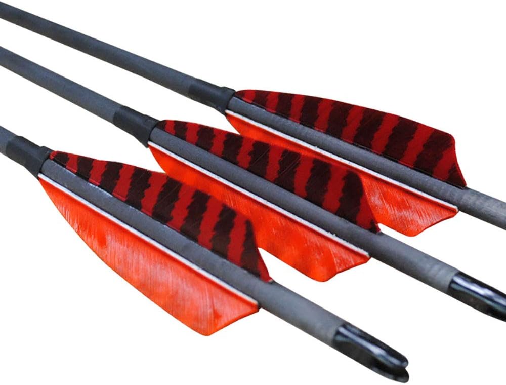 30/31 Inch Carbon Arrow Spine 400 500 600 Natural Turkey Feather Competition Target Practice Hunting Arrow for Traditional Long Recurve Bow and Compound Bow 12Pcs