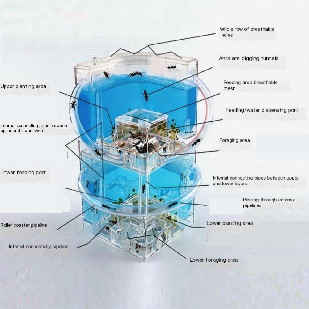 Doppelschichtiges Ameisenfarm-Formicarium aus Acryl, stapelbarer Ameisennest-Lebensraum, erweiterbare Zuchtbox mit 360°-Ansicht for Haltung und Beobachtung(Green)