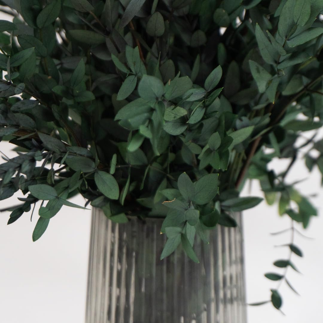 BLAINE Parvifolia Verde Preservado Decoración Ideal para Ramos de Flores Secas con Hojas Naturales Que No Necesita Mantenimiento 70 cm