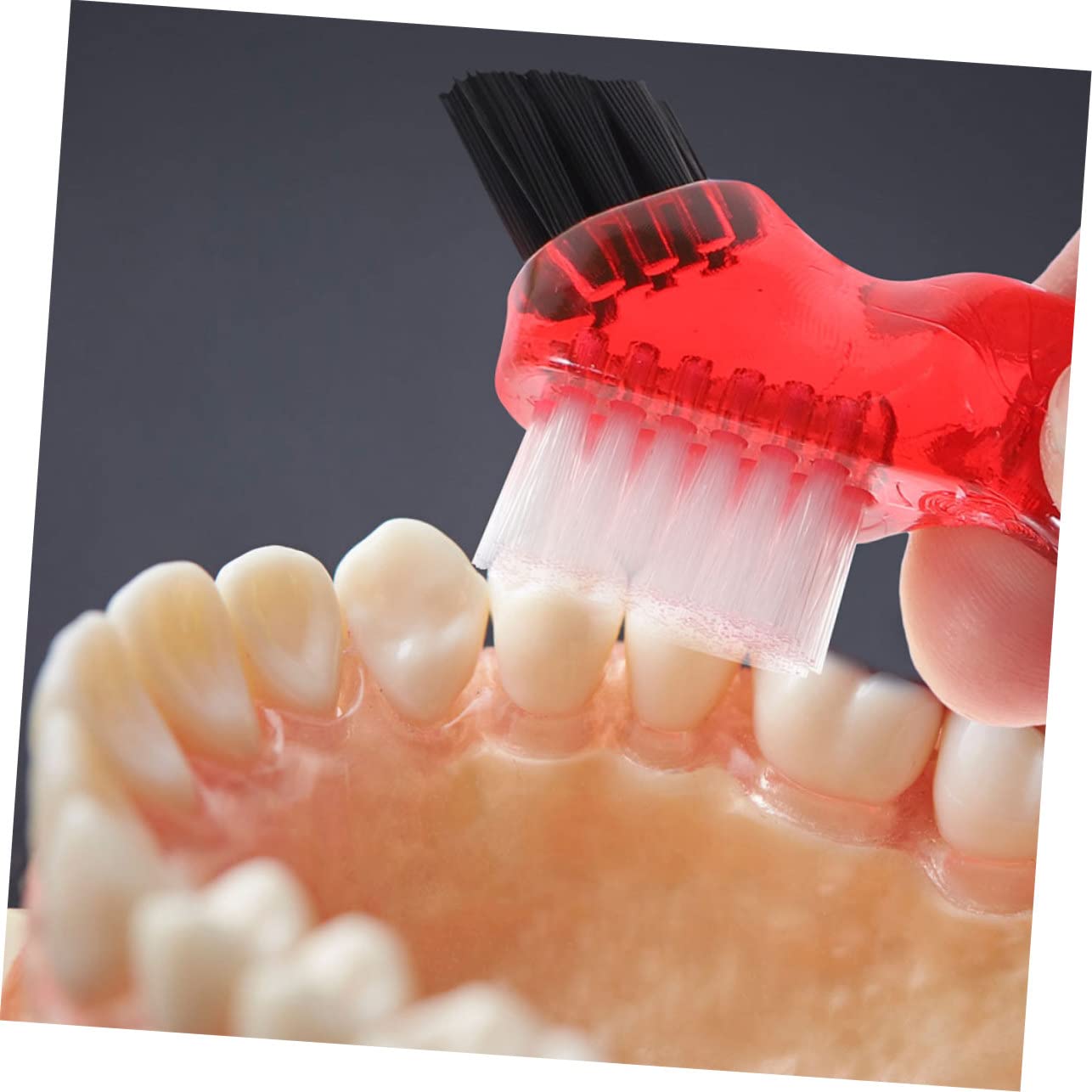 Hemobllo Spazzole per Dentiera Mini 3 Pezzi in Plastico Pp, Multi-funzionali per Pulizia Denti e Rimozione Tartaro, per Orale Domestica Pratica
