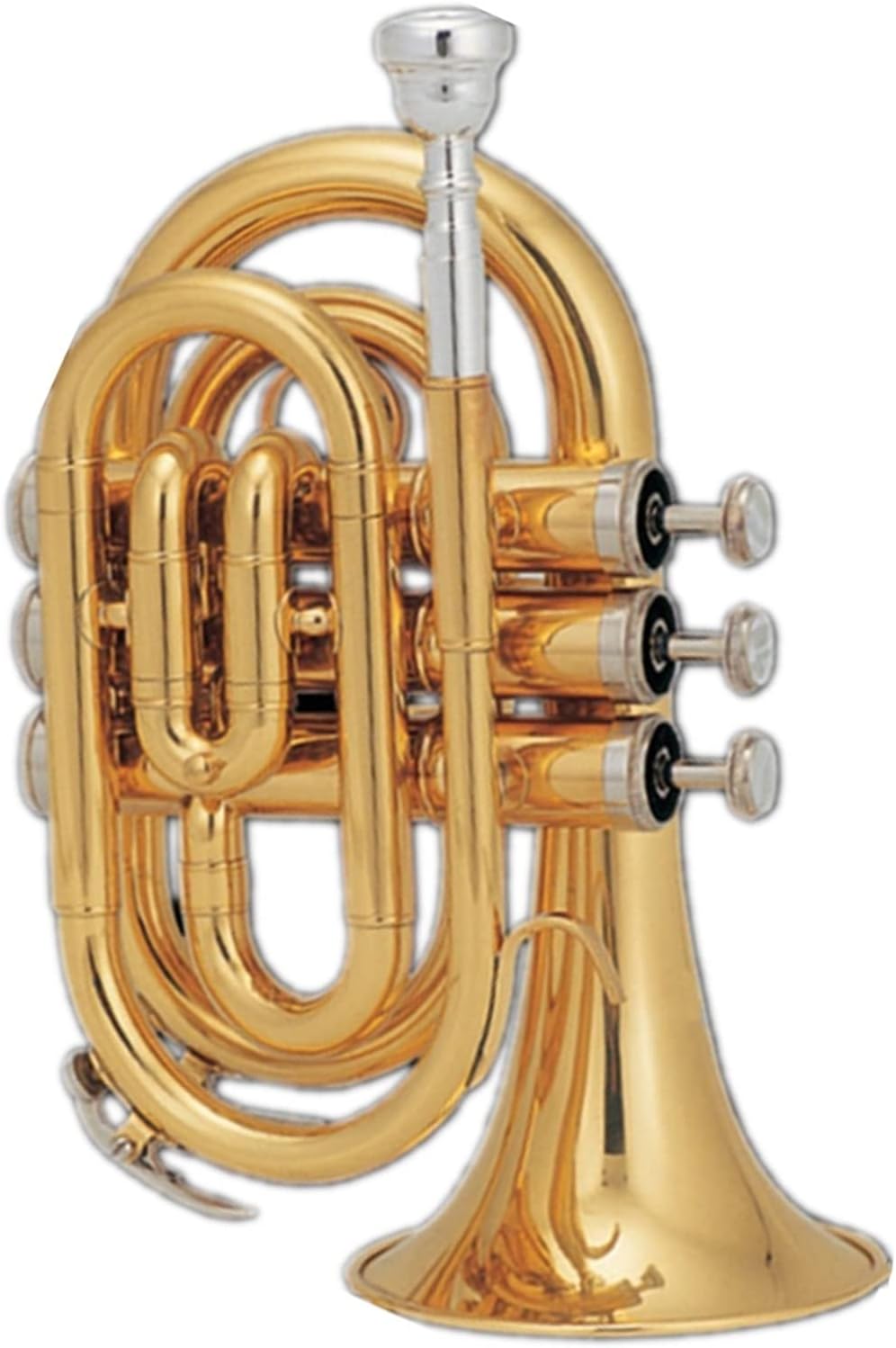 貴重】山内一弘 野球殿堂入りパーティー記念品 名球会 山内 一弘 野球