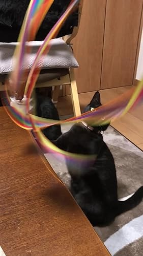 Amazon | キャティーマン (CattyMan) じゃれ猫 りぼんの舞