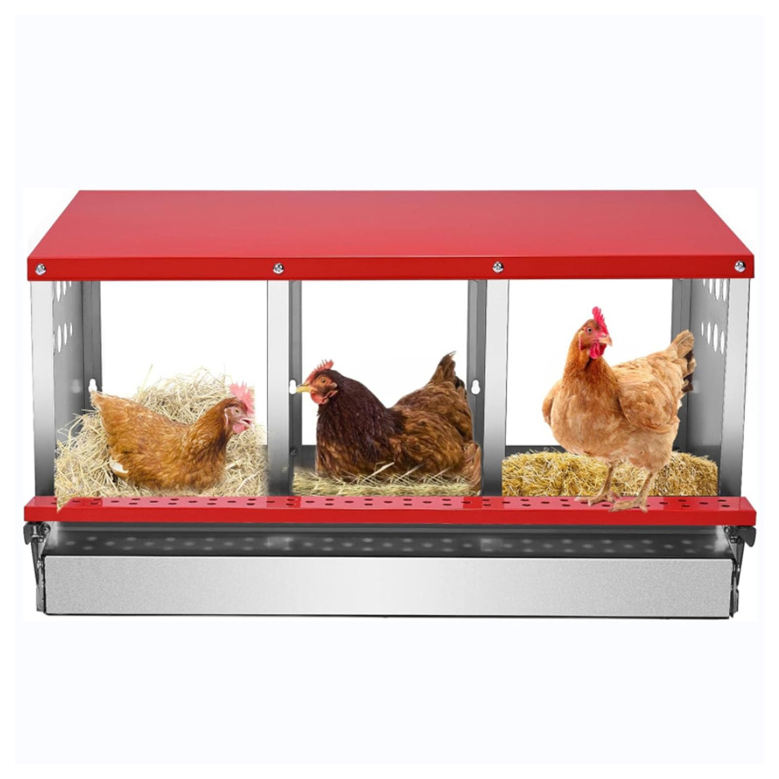 Boîtes de ponte de poulet en métal 3 trous pour collecte d'œufs
