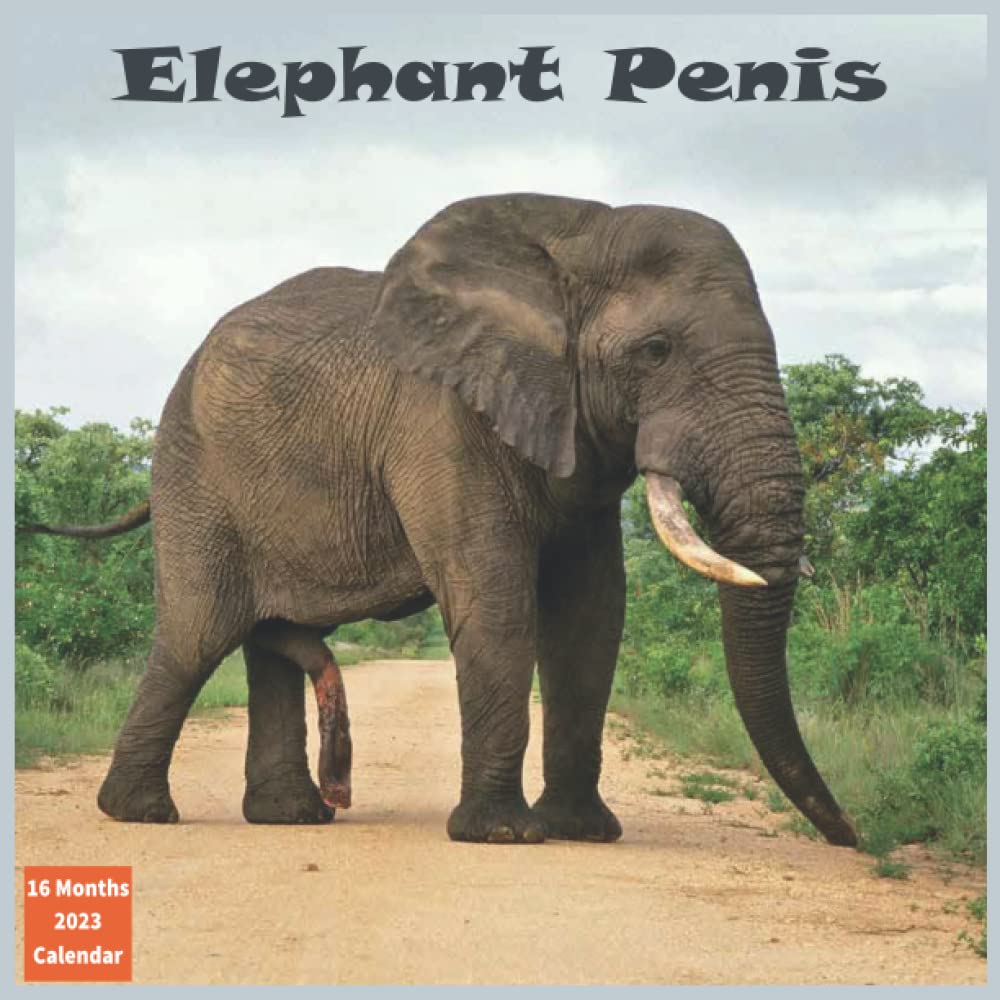 Buy Elephant Penis 2023 Funny Animal Penises 20232024 White Elephant
