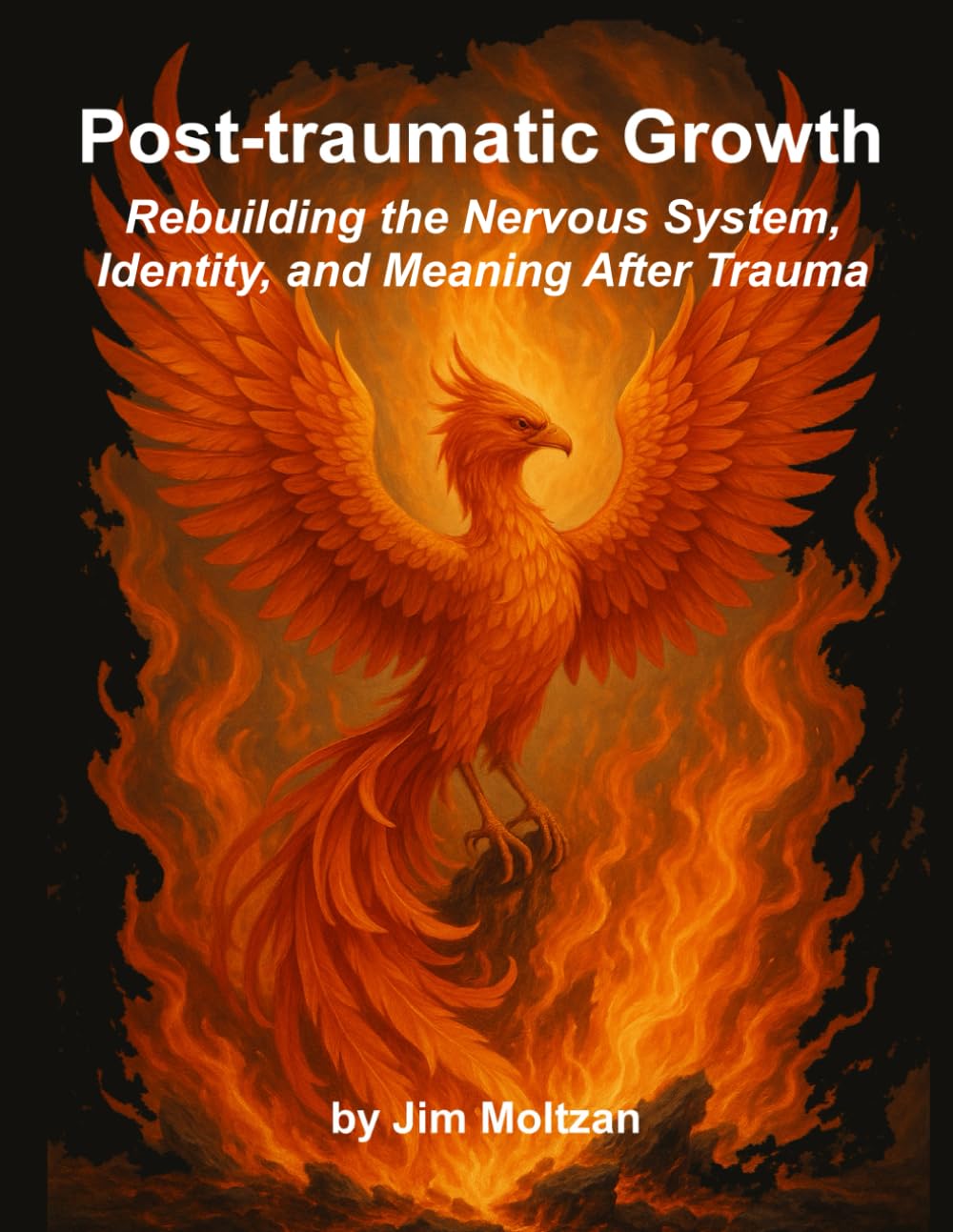 Post-traumatic Growth: Rebuilding the Nervous System, Identity, and Meaning After Trauma: 8 (Warrior–Scholar–Sage Series (Philosophy, Identity, Transformation))