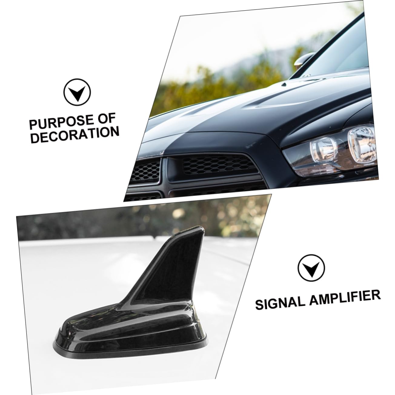 OSALADI 3piezas Antena De Radio para Coche Aleta y Fácil De Instalar Accesorio De Estilo para Techo Compatible Seat y