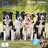 Little Gifts Border Collie 2015 Calendar (8140)