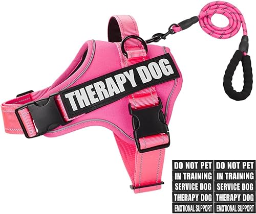 Juego de arnés y correa para perro, chaleco reflectante para perro con 10 parches, 3 anillos, chaleco para mascotas sin estrangulamiento para