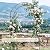 Garden Arch Trellis for Climbing Plants Outdoor Wedding Arches for Ceremony Black Metal Garden Arbor Indoor Garden Arches for Party Decoration 7.9ft Wide X 6.4ft High (Black Garden Arch)