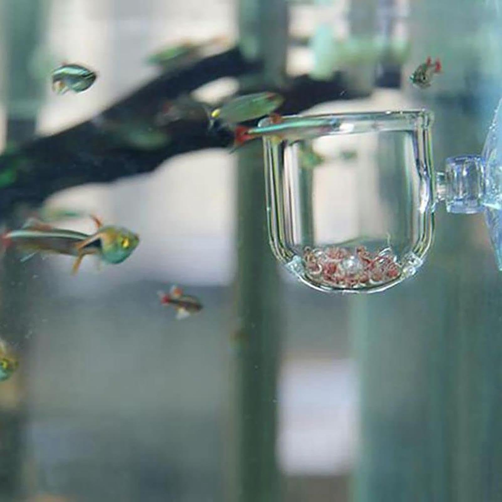 Akrylowy kubek ro?liny wodne, uchwyt doniczk? ze szk?a kryszta?owego, akcesoria do akwarium z przyssawkami, g?adkie powierzchnie doniczka ro?liny wodne, doniczka ro?liny wodne z mocn?