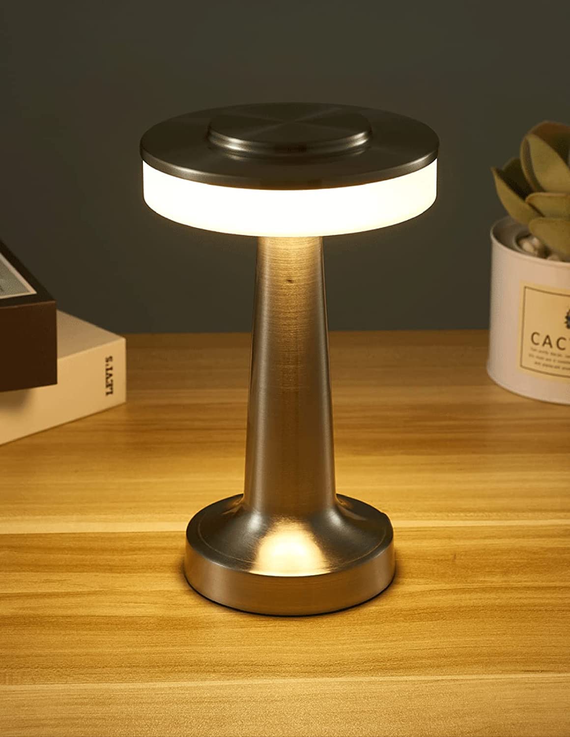 Rechargeable Cordless Table Lamp, Metal Table Lamp with Touch Control, Dimmable Dome Shade Table Light for Bar, Energy Class A,Silver