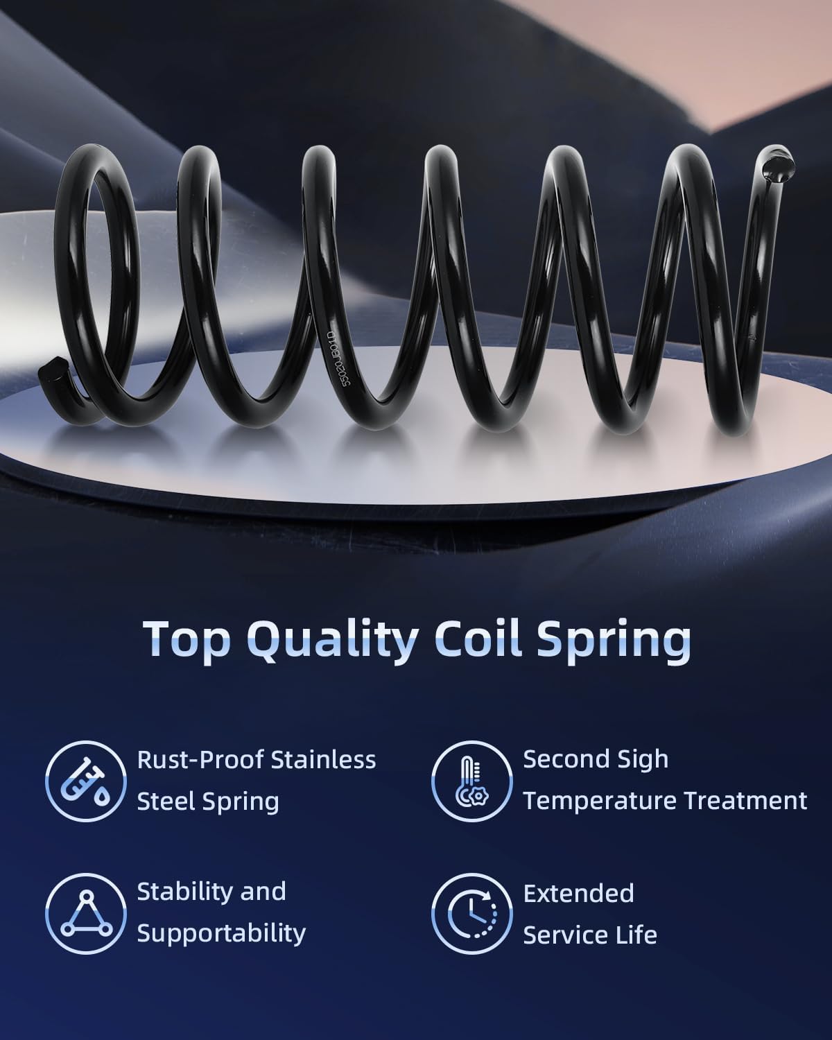 ECCPP 2PCS Rear Coil Springs Suspension Coil Spring Set 81589 55020JB01D 55020JB02E for 2007 2008 2009 2010 2011 2012 2013 for Nissan Altima