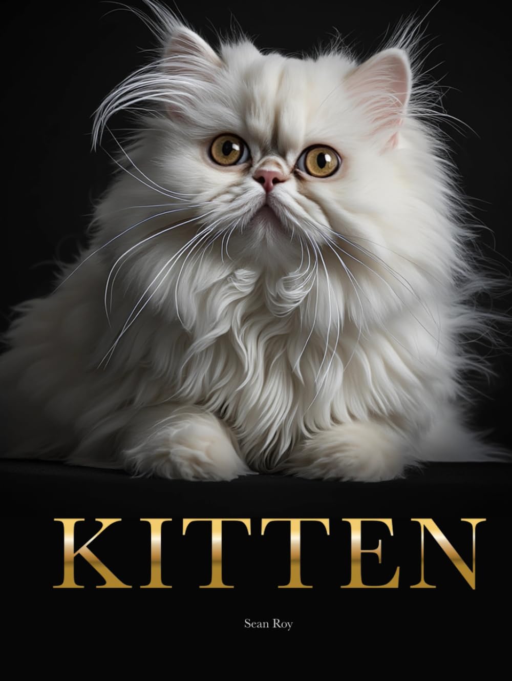 Livre de chatons et album photo de chats pour table basse