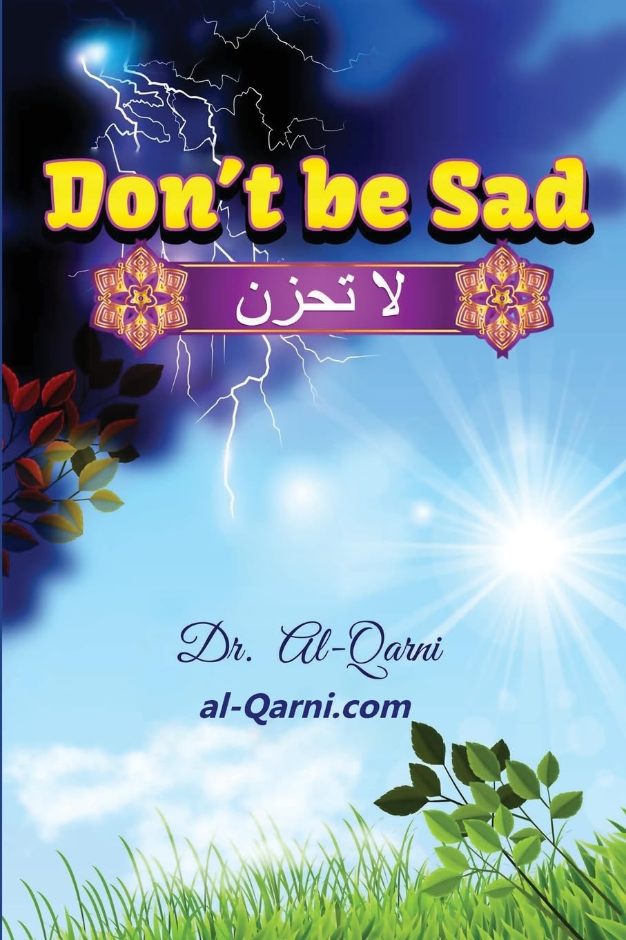 Don't Be Sad: Happiness Every Day Paperback – 5 April 2024