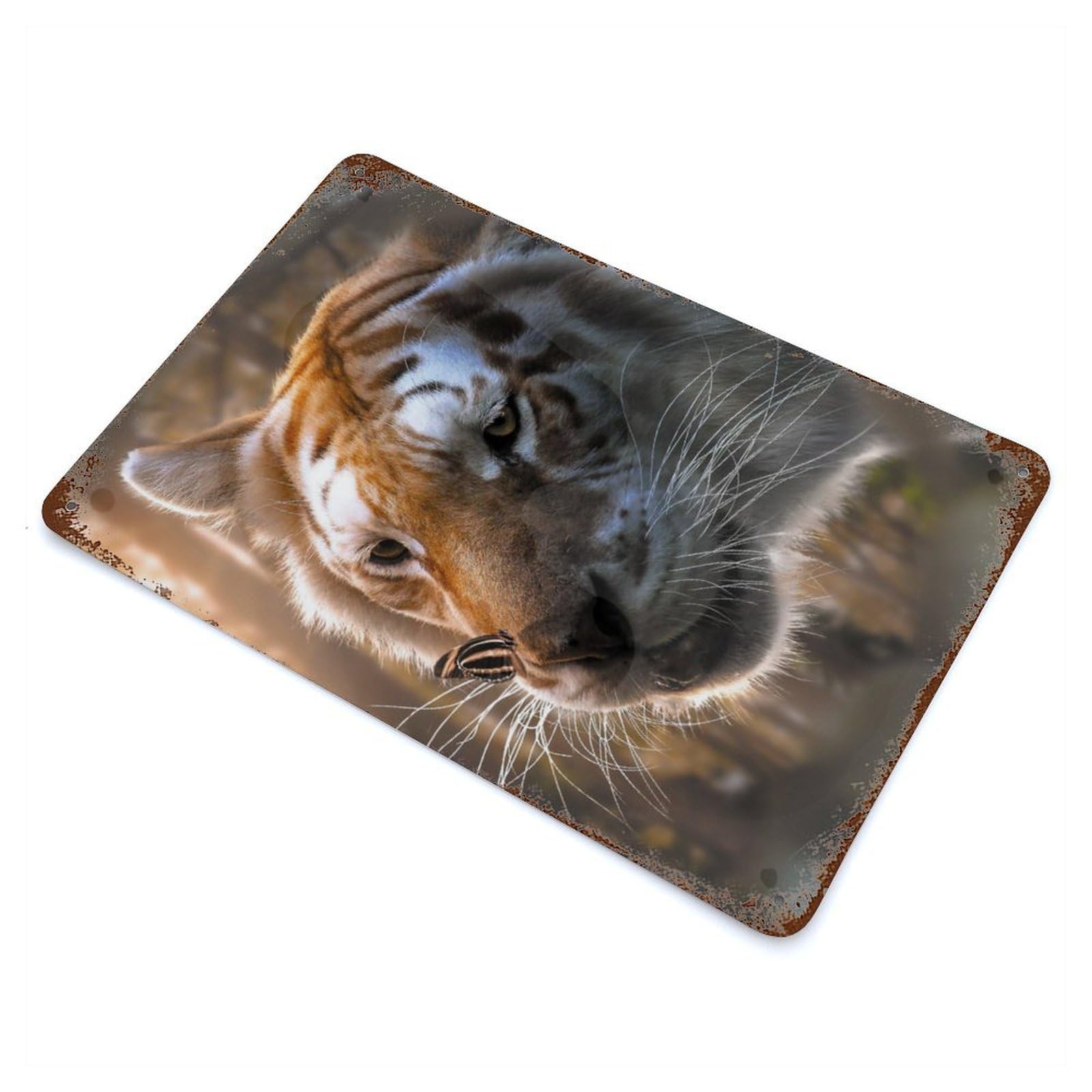 White Tiger And Butterfly Rustic Tin Plaque 11.8"x7.9", for Shed, Workshop And Garage Wall Decor, Shabby Chic Decor