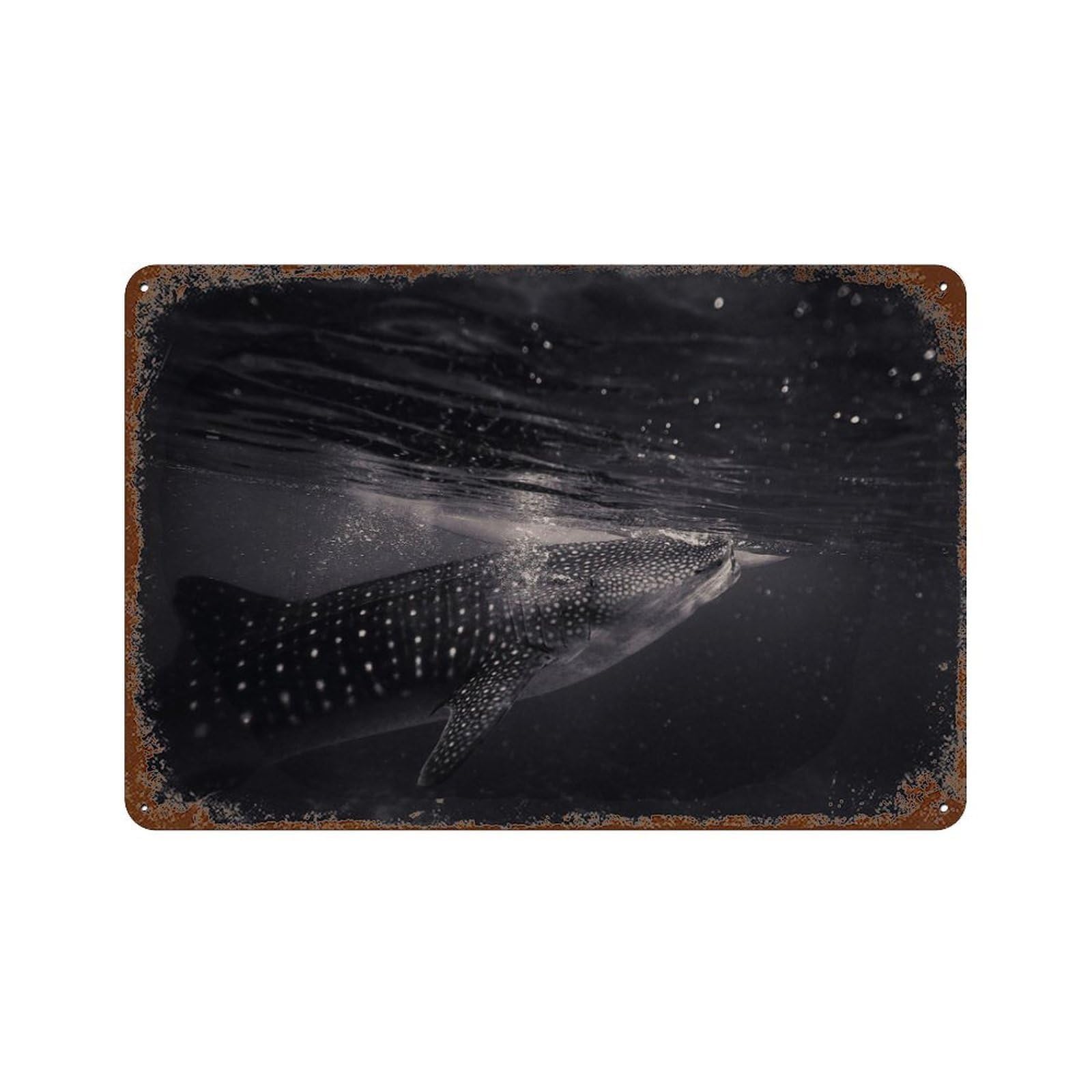 xiaoxiaoshen Humpback Whale Marine Animal Wall Decor Art Metal Tin Poster Modern Home Decor Art Home Bar Shop Decorations Vintage Sign 20x30cm