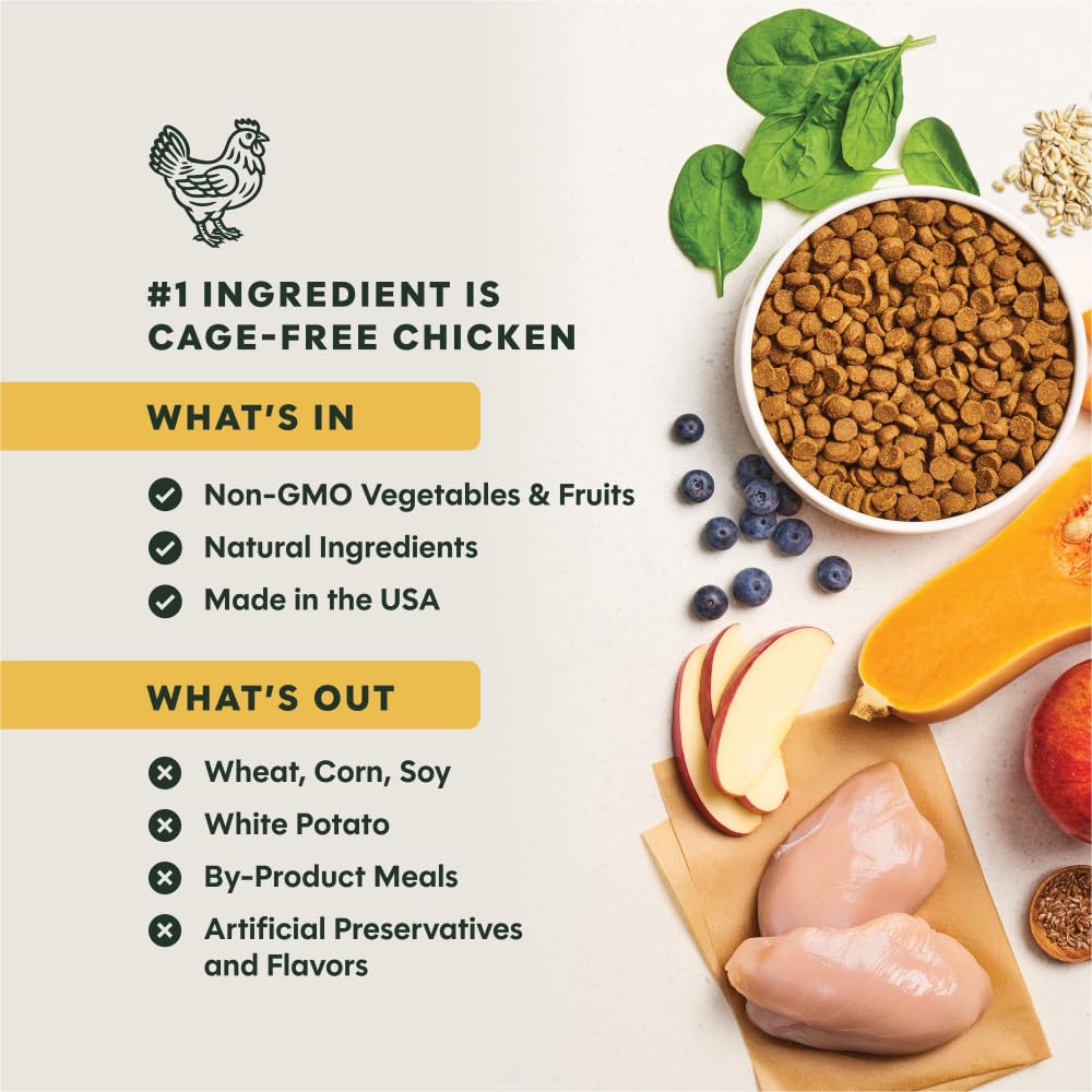 Instinct Be Natural - Alimento seco para perros con pollo y arroz integral, bolsa de 25 libras