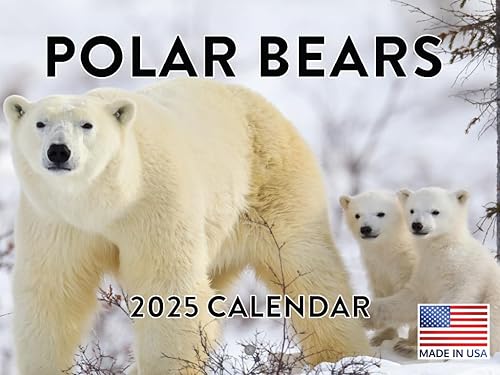 Calendario mensual de pared 2025 de oso polar, 12 meses