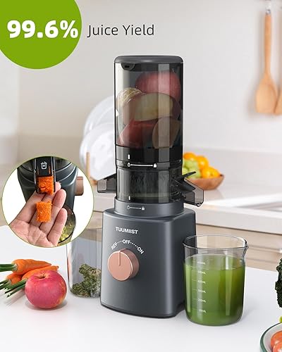 Miniatura 3 de Exprimidor de prensa en frío con canal de alimentación grande de 4.25 pulgadas, apto para verduras y frutas enteras, exprimidor masticador fácil de