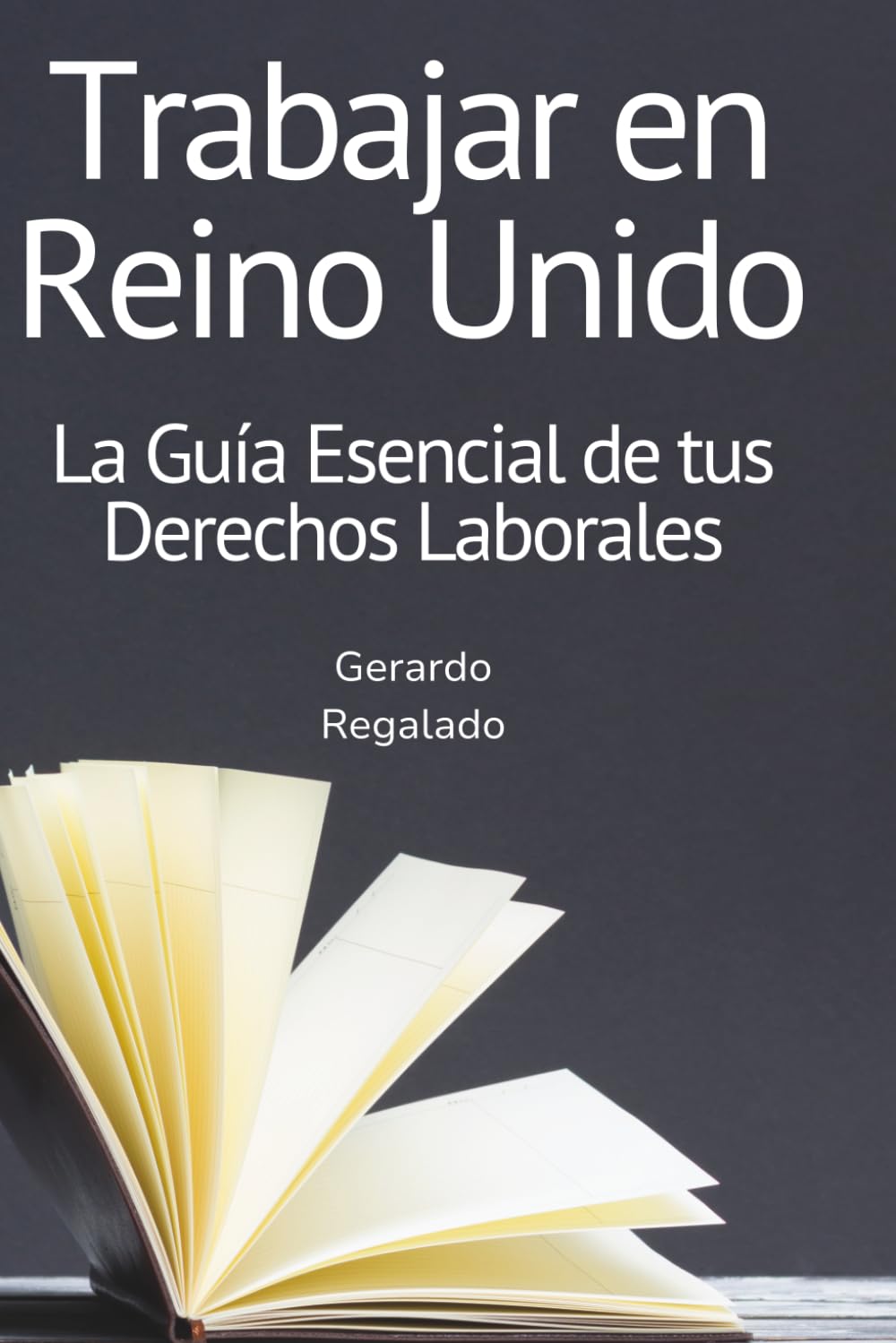 Trabajar en Reino Unido: la guía de derechos que nunca te dieron: La guía esencial en español, sin tecnicismos, para migrantes que trabajan en Reino Unido