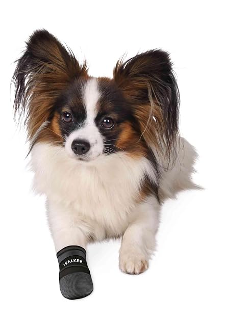 Foto 2 de 3 de 2 Botas Protec. Walker, Neopreno, Perros, S, Ng, 1 x 1 x 1 cm