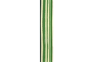 Berwick Offray Tru-Life Ribbon, 4-Inch Wide for Decorations, 50-Yard, Tropical Green and Yellow Leaves