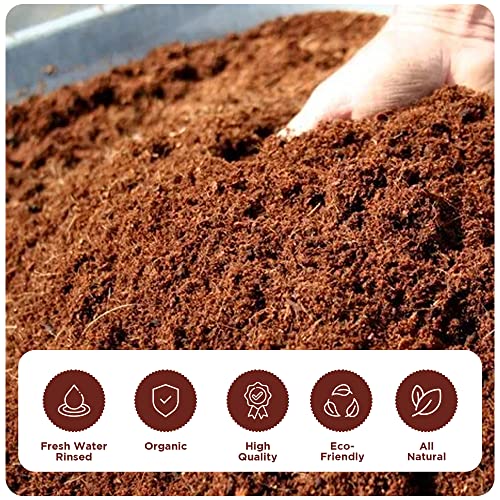 Image of Premium Coco Coir Brick | Coconut Fiber Block | Compressed Growing Medium | Perfect As Hydroponics Garden Soil | 100% Organic and Eco-Friendly | Great Seed Bed (Pack of 1 at 11 Lbs)