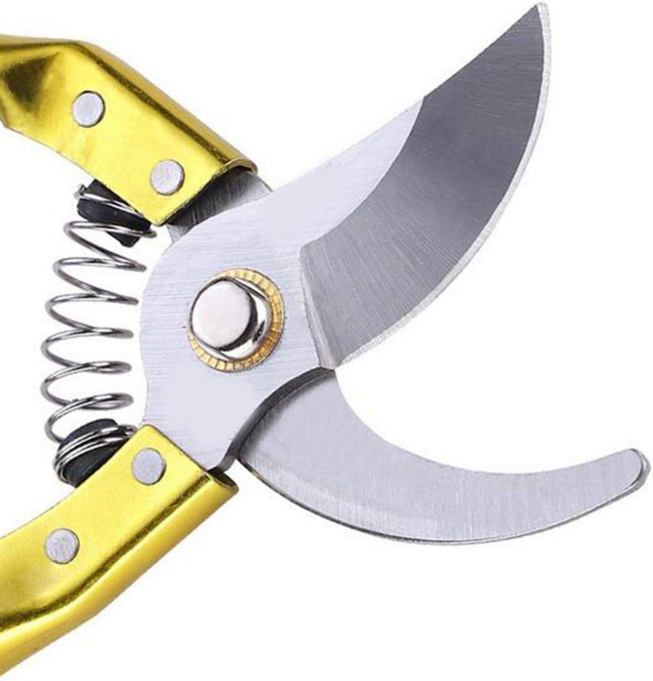 Surd 園芸用はさみ 剪定鋏 剪定ばさみ 剪定 ばさみ 枝切り バイパスタイプ園芸ハサミ 剪定道具 庭園作業 園芸用ナイフ 果樹 庭木の剪定 園芸 ツール 軽量 滑り止め 園芸設備 切断直径mm ステンレス刃 68 以上節約 Surd 園芸用はさみ 剪定鋏 剪定ばさみ 剪定 ばさみ 枝切り バイパスタイプ園芸ハサミ 剪定道具 庭園作業 園芸用ナイフ 果樹 庭木の剪定 園芸 ツール 軽量 滑り止め 園芸設備 切断直径mm ステンレス刃 68 以上節約