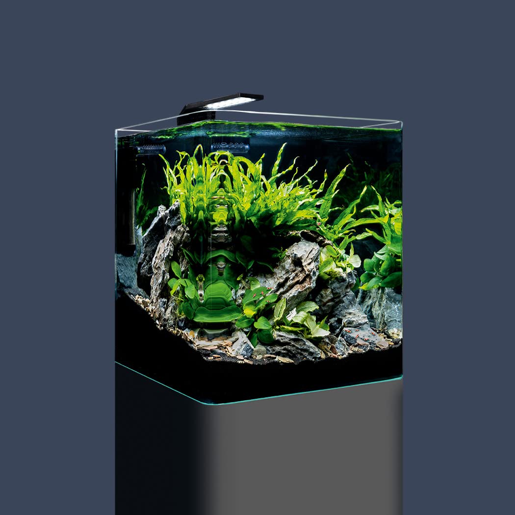 Dennerle Nano Cube Basic, 30 Liter - Mini Aquarium mit Abgerundeter Frontscheibe