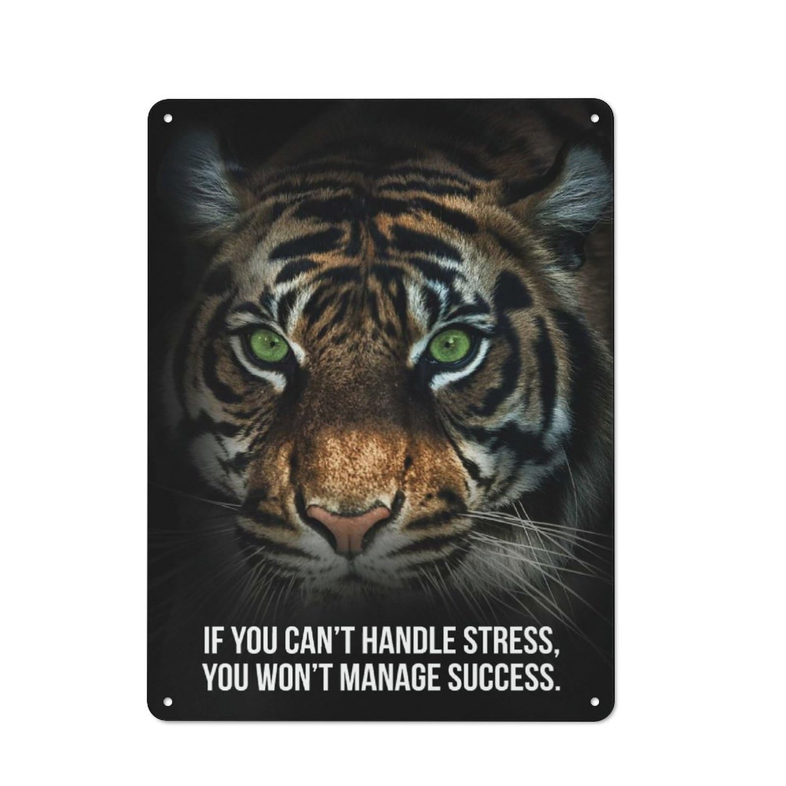 Vintage Handle Stress Vs Success Tin Sign 40x30cm, Shed Wall Plaque for Garage, Workshop, Shed Or Utility Room