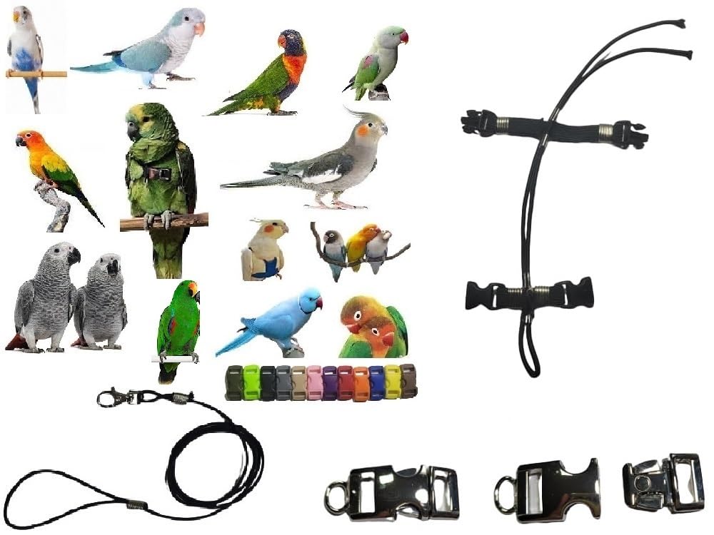 Arnés para loros medianos con cinta de 10 mm elástica para evitar tirones en aves amazonas