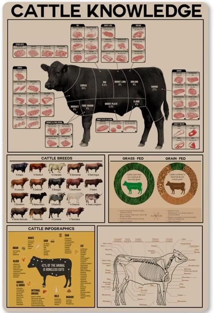 rayprint Retro Farm Canvas Wall Art Cattle Knowledge Frameless Poster Cattle Anatomy Painting Prints For Farmhouse Living Room Bedroom Decor 12x16inch
