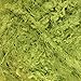 JubileeYarn Baby Bear Yarn - Chunky Weight Polyester Fur - 100g/Skein - Lime Green - 2 Skeins