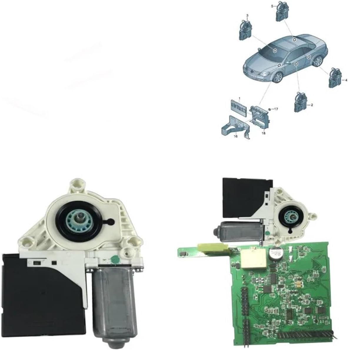 美品 掛け軸 国井道成作 名号「南無阿弥陀仏」本尊熊皮御影 親鸞聖人 太巻き付 美品 掛け軸 国井道成作 名号「南無阿弥陀仏」本尊熊皮御影 親鸞