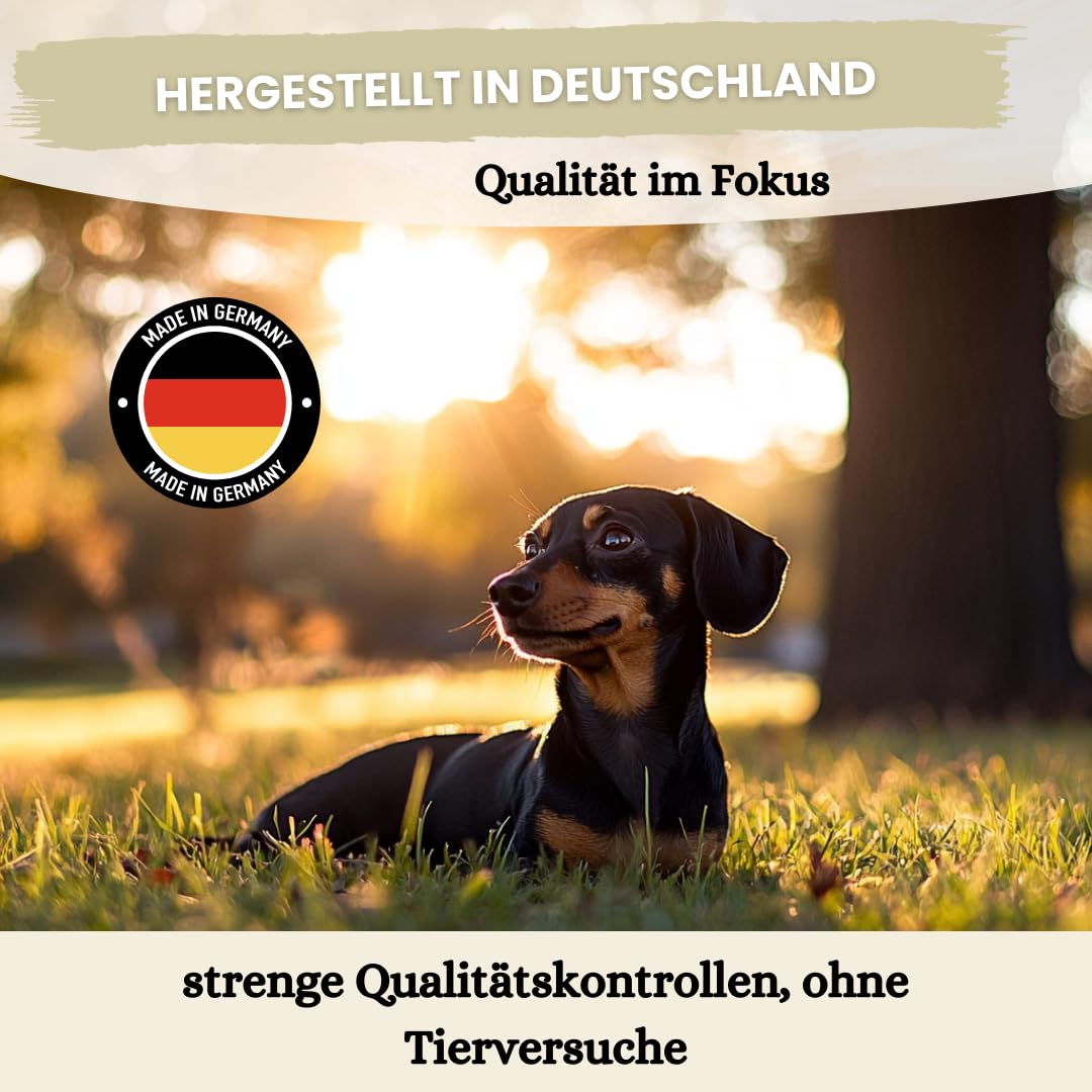 Dentalspray für Hunde & Katzen -150 ml - Zahnspray – 100% natürlich, effektiv gegen Zahnstein, Mundgeruch, Plaque - zur Zahnreinigung & Zahnsteinentfernung, frischer Atem - Zahnpflege Hund