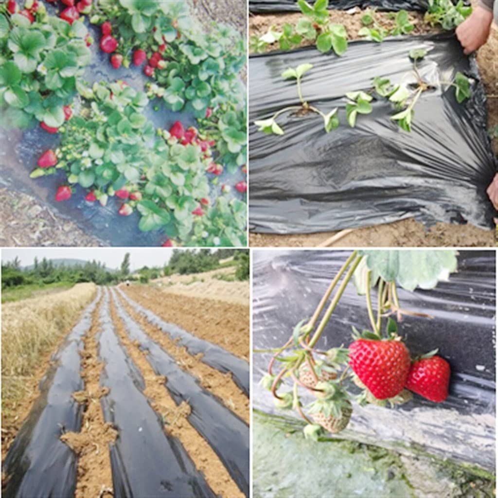 Membrana, Película agrícola Negra de PE con Efecto Fresa