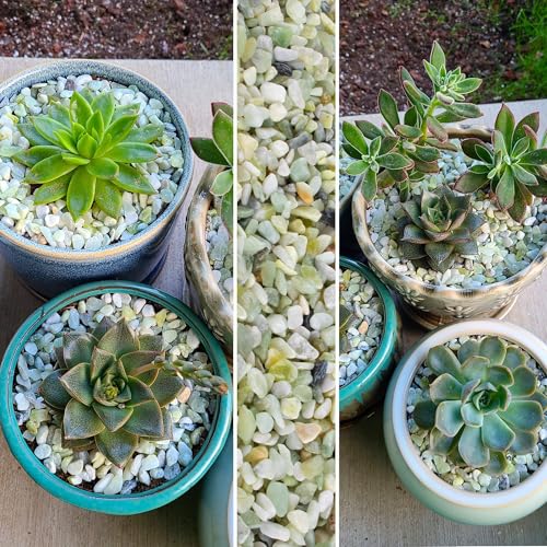 Image of CJGQ 7lb Natural Gravel for Aquarium Succulents Bonsai Terrarium Fish Tank,1 /5 inch Decorative Stone for Plants Indoor