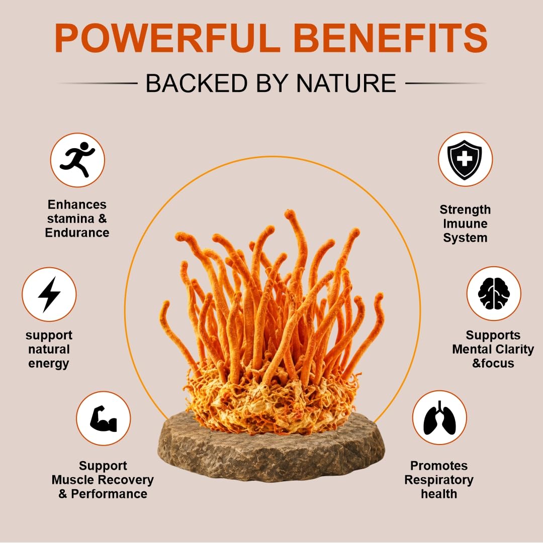 Coretribe® Cordyceps Militaris Mushroom Extract Capsules |Strength|Focus, Superfood Supplement,| Vegan, Non-GMO, 30 Count .for Optimal Health Benefits, 100% Authentic Cordyceps Easy-to-Swallow — Amazon image 4