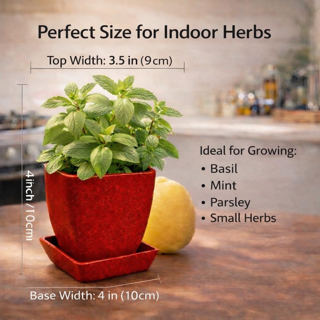 (3 of 5 in package) 5 Pack Mini Square Planter Pots 3.5 Inch with Saucers and Drainage Holes, Matte Speckled Succulent and Herb Planters for Windowsill, Desk and Kitchen Red