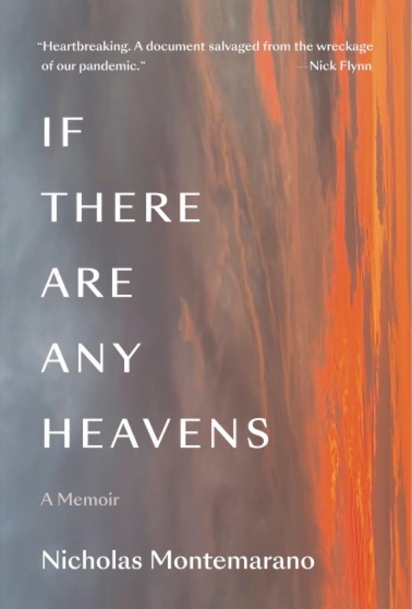 Buy If There Are Any Heavens — BookShops.in