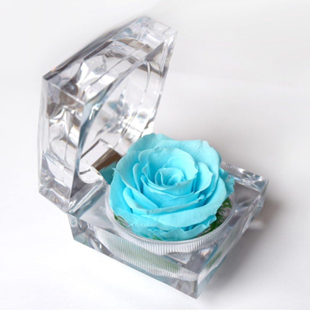 Nice Moment Preserved Fresh Flower Forever Rose with Acrylic Ring Box for Lovers Friends Families Yourself 10 colors for choose(Sky blue)