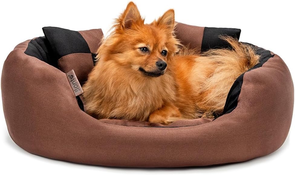 Empire World Velvet Dog Bed Washable Cat Beds for Indoor Cats and Puppy, Dog Bed Sofa for Dogs, Gift for Dogs and Cats, Oval Bed. (L 55 x B 40 X H 17 cm, Black-Brown) (B0D34WG6BY) Amazon Price History, Amazon Price Tracker