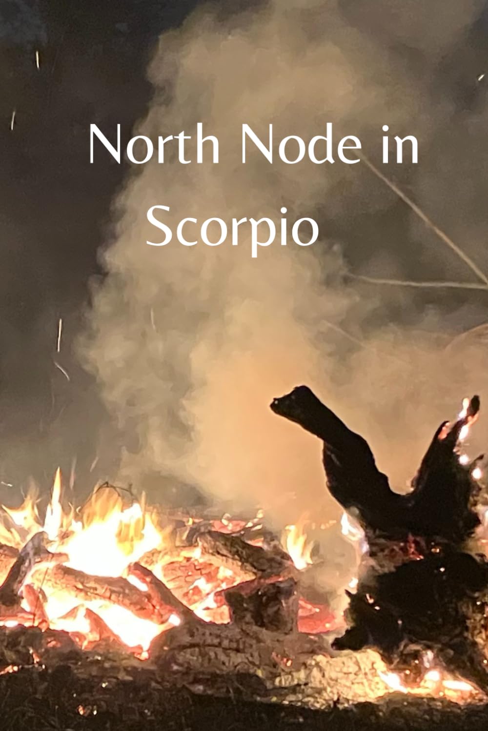 North Node in Scorpio: The Book I Wrote In My Youth