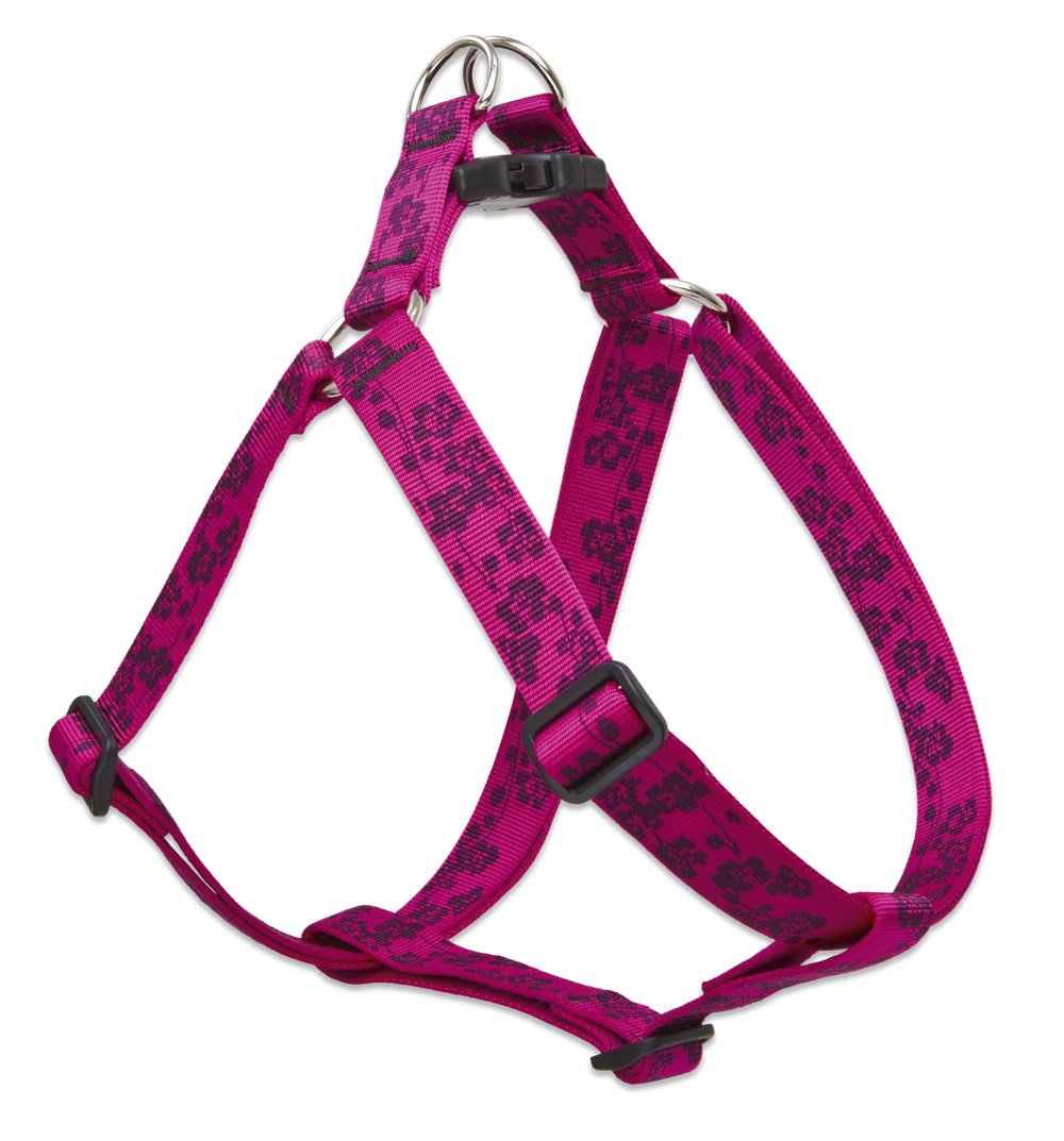 Harnais pour chiens de grande taille Lupine step-in réglable largeur 2,5 cm