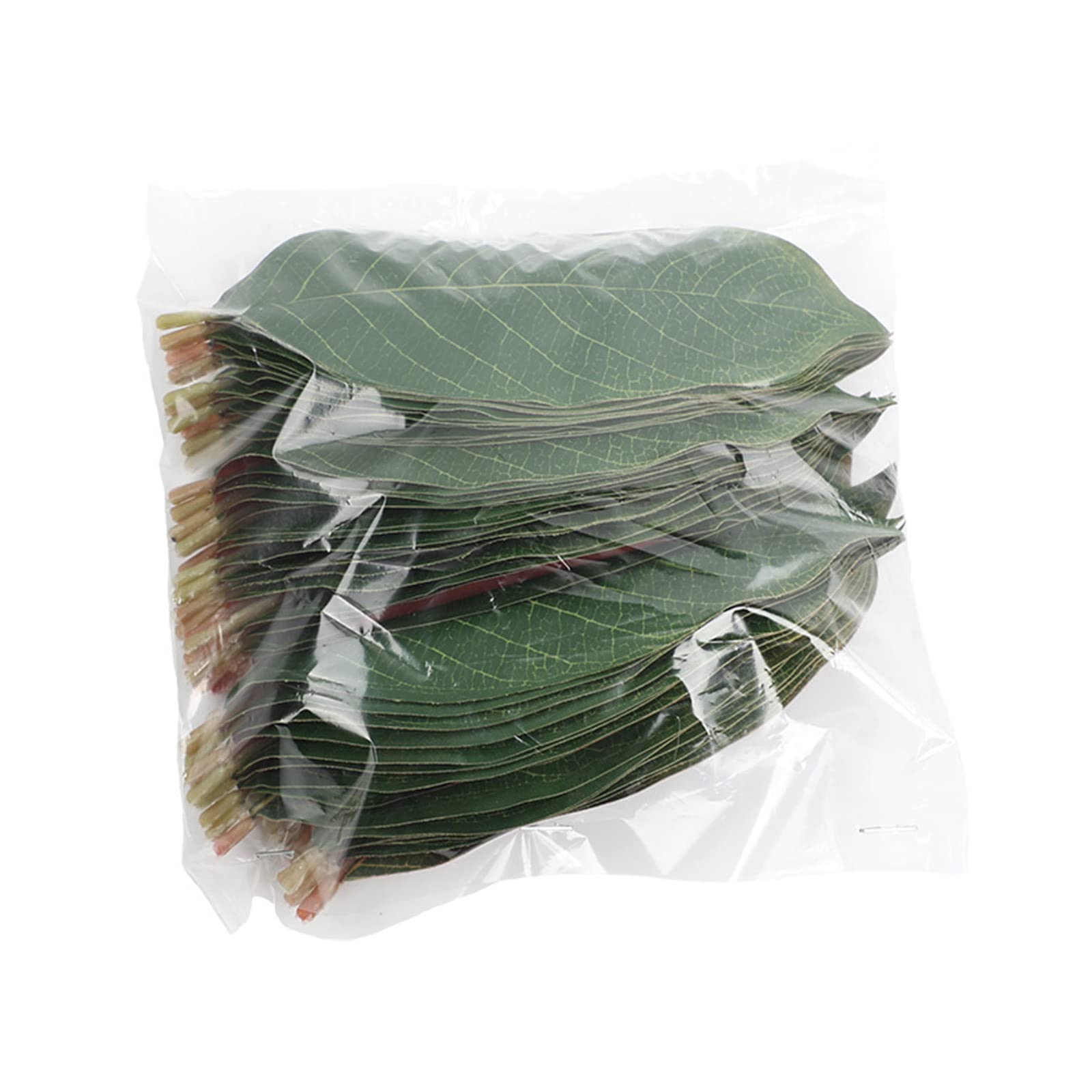 Jazuaiao Fake Leaves Artificial Simulation Silk for Wedding Bouquet Flower Decoration Peony Rose Hydrangea Magnolia Leaves Artificial
