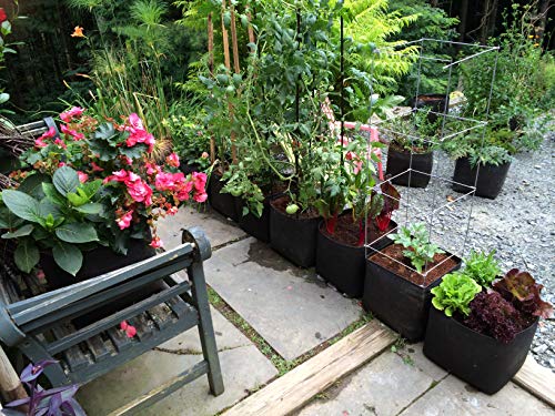 Victory 8 (Pack Of 4) Cube Garden Square1 Foot X 1 Foot Modular Fabric Pot Ultimate Square Foot Garden Container With Ez-Lift Tabs 100% Made In Usa #TOP6