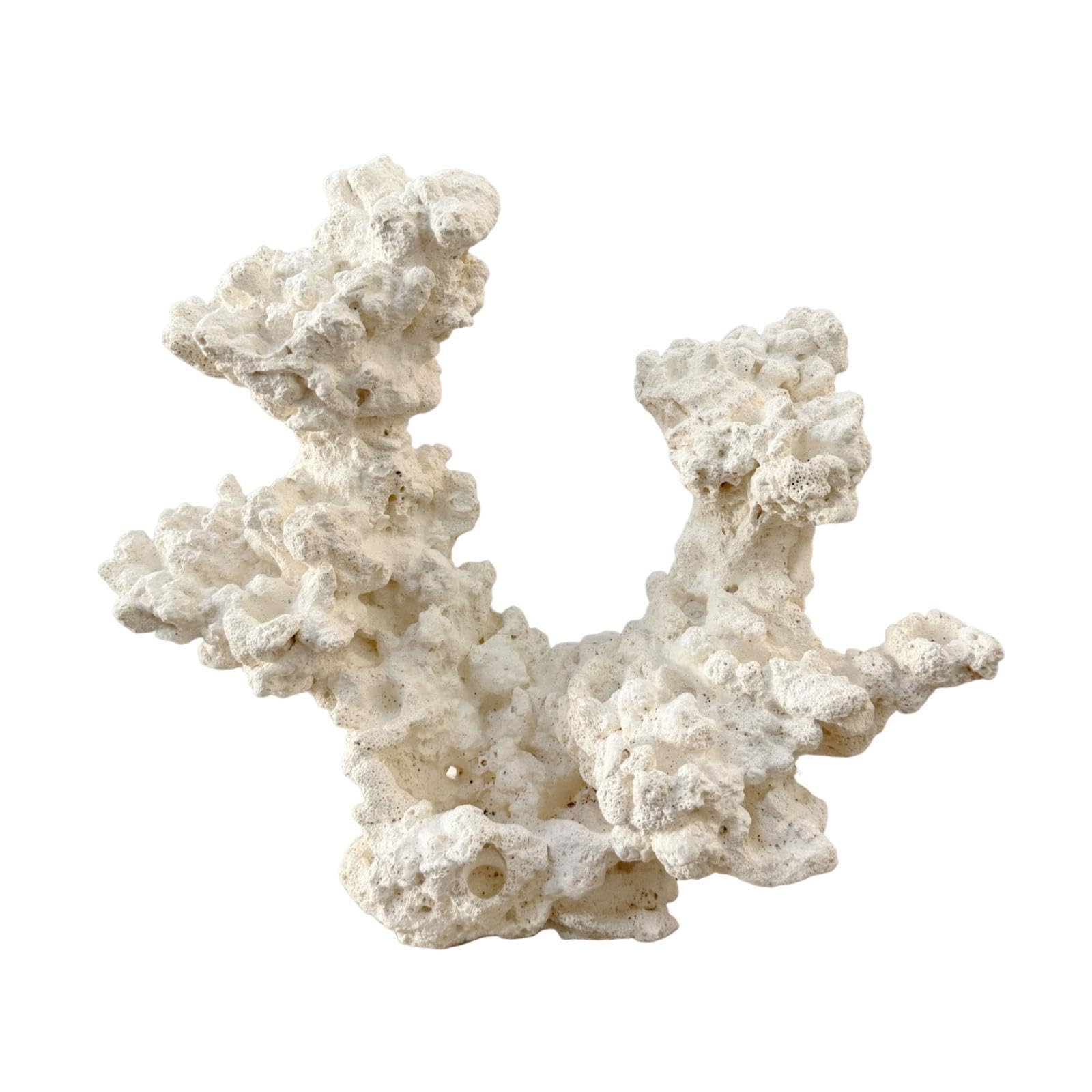 Décoration D'aquarium : Nid D'anémone, Sculpture Artisanale en Céramique, Figurine Créative, Abri pour Aquarium, Grotte de Reproduction, Style C